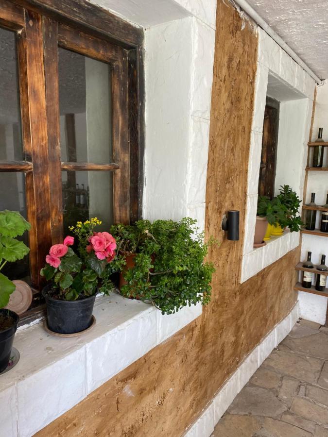 Elegaya Guest House إيجيفان المظهر الخارجي الصورة